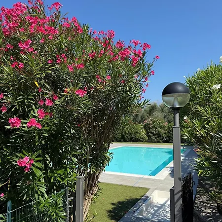 Bluelow Lakeview House * דרביו