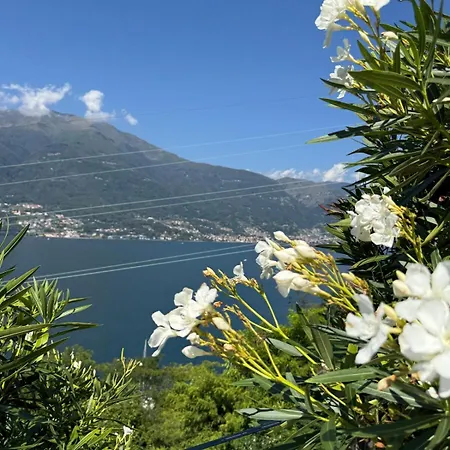 Bluelow Lakeview House