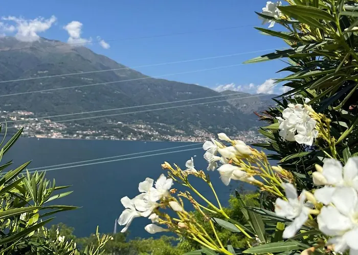 Bluelow Lakeview House